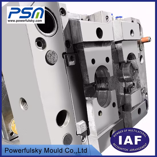2K 플라스틱 부품용 맞춤형 OEM 다중 캐비티 플라스틱 사출 금형
